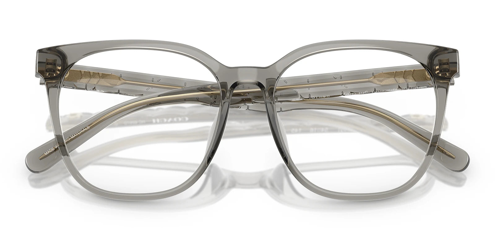 COACH HC6267-Grey