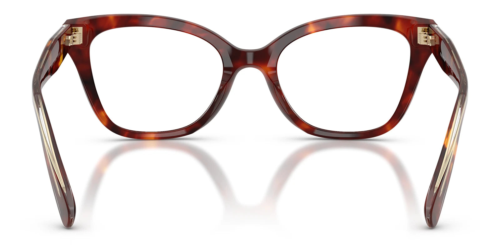 COACH HC6290-Tortoise