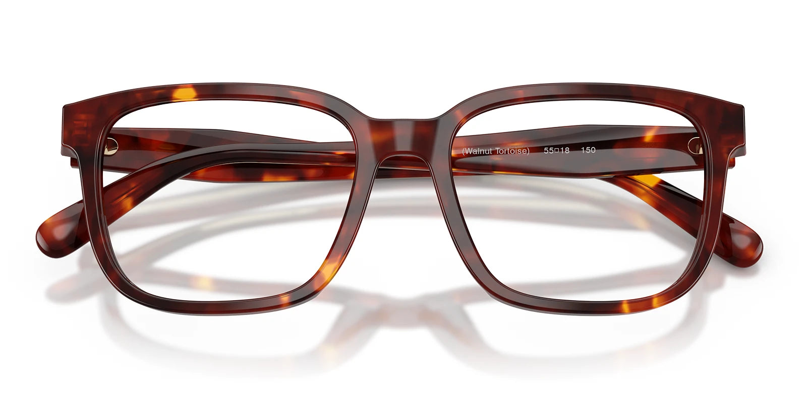 COACH HC6291-Tortoise