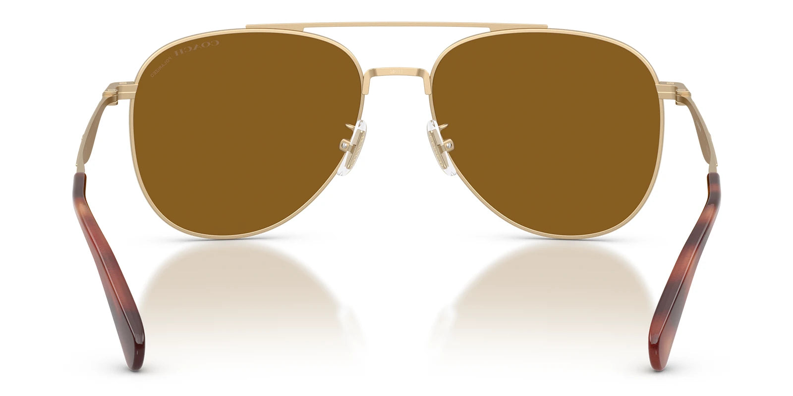 COACH HC7190-Gold / brown polarized