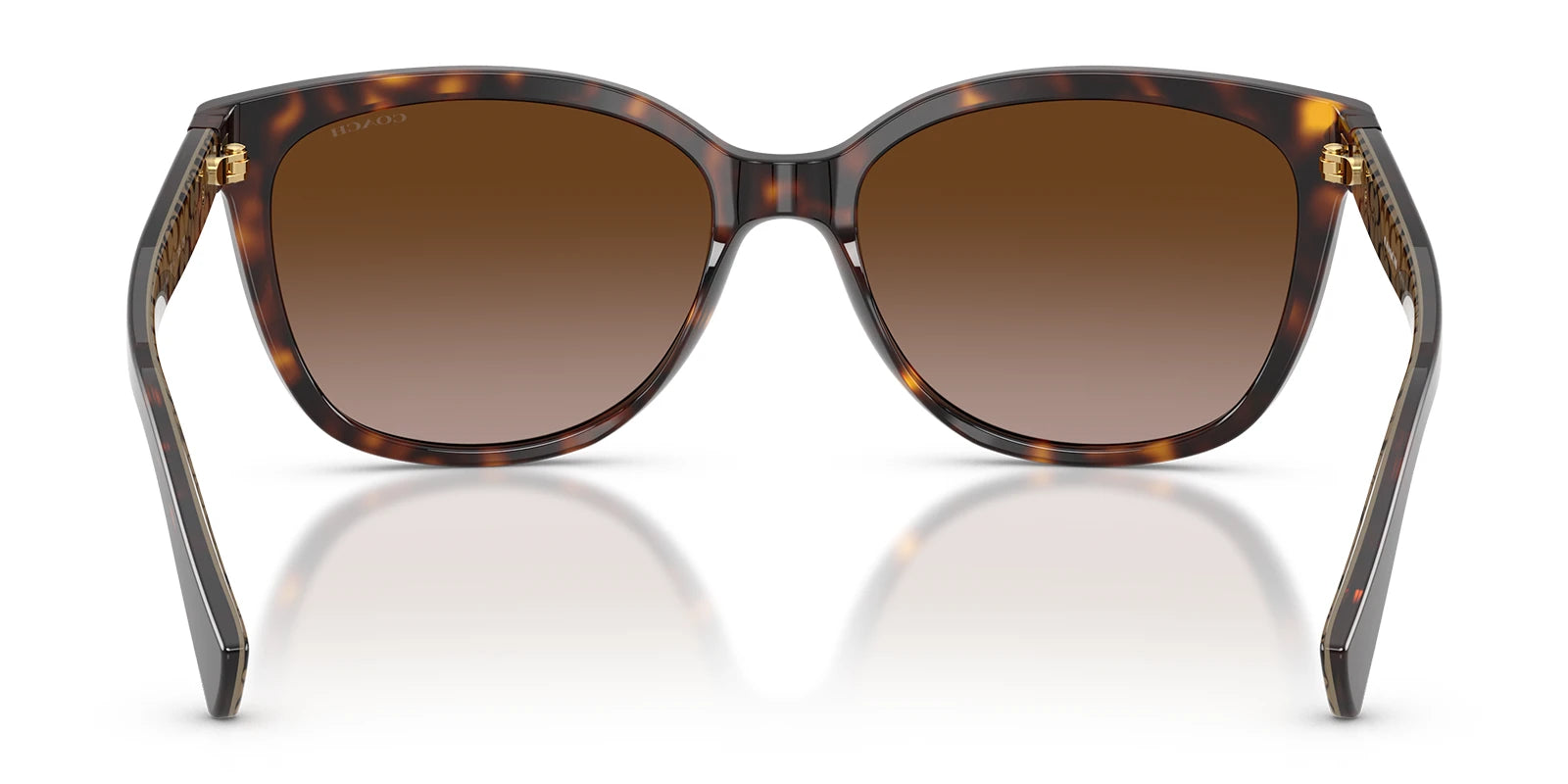 COACH HC8132-Tortoise / Brown Gradient