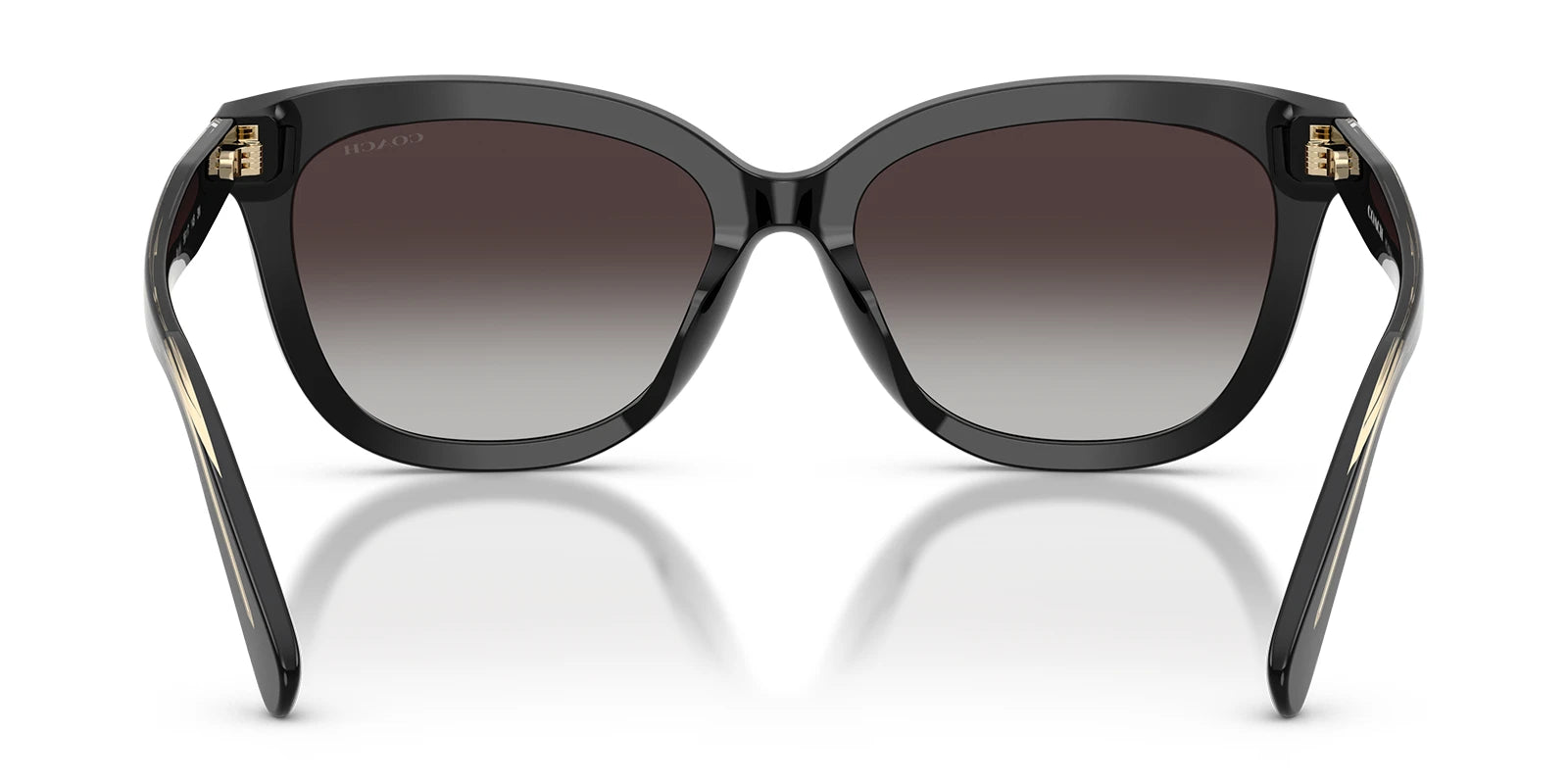 COACH HC8453-Black With Grey Lenses