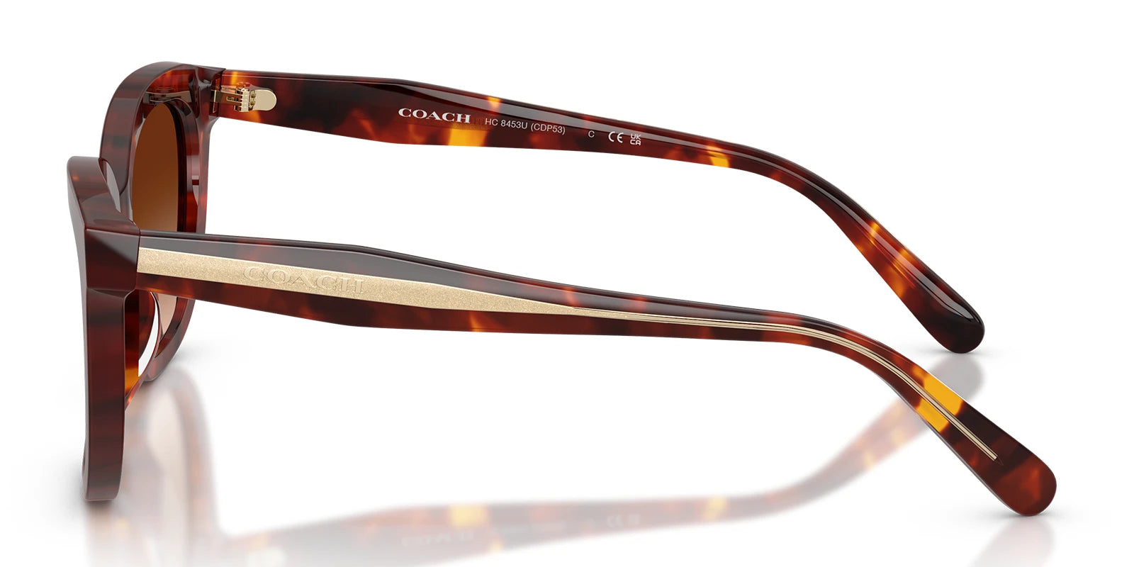 COACH HC8453-Tortoise / Brown Gradient
