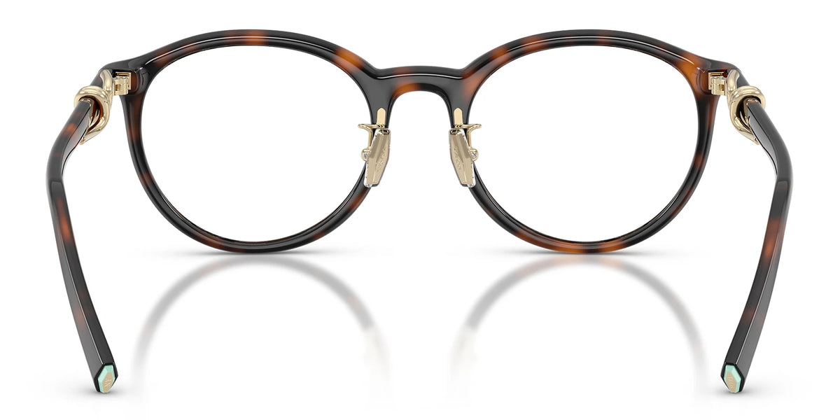 Tiffany TF2304-Tortoise