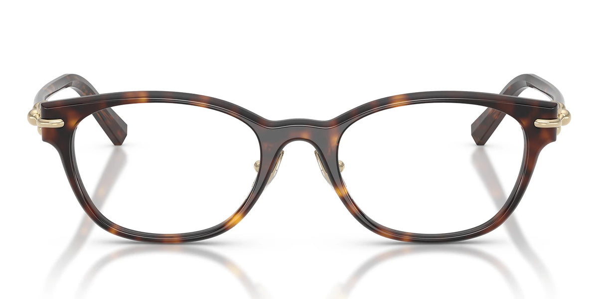 Tiffany TF2305-Tortoise