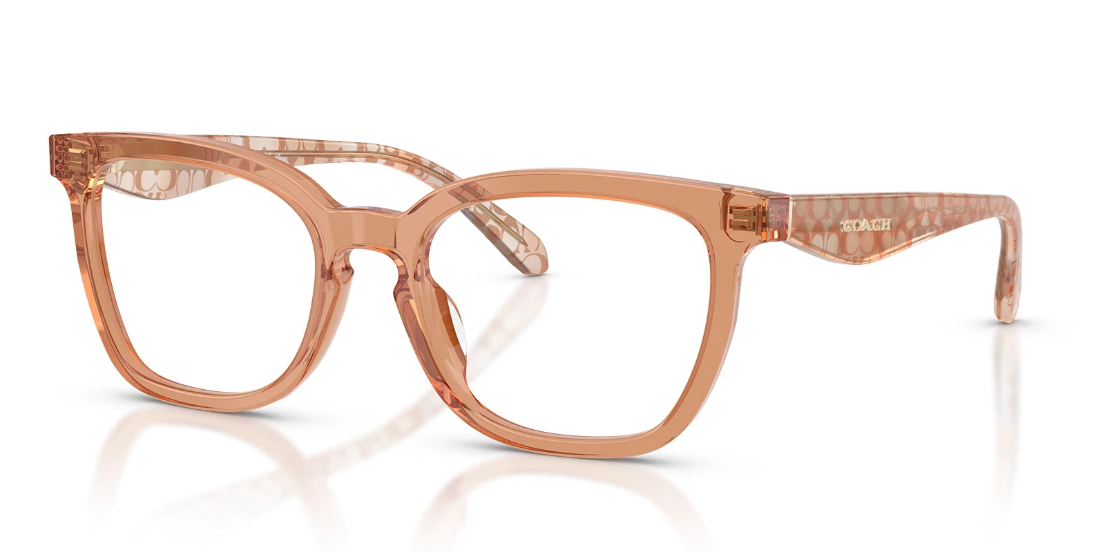COACH HC6288-Brown