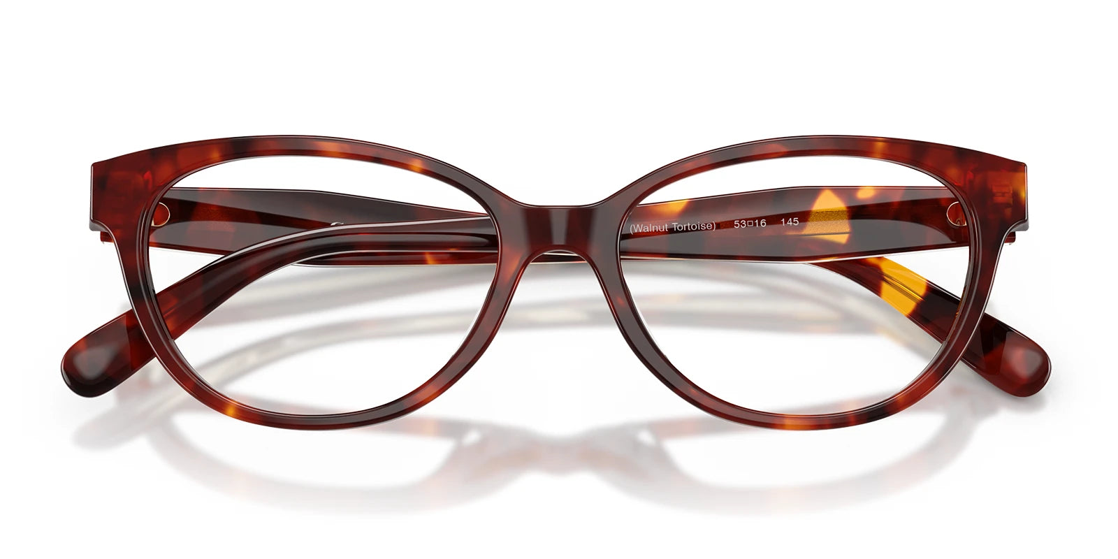 COACH HC6293-Tortoise