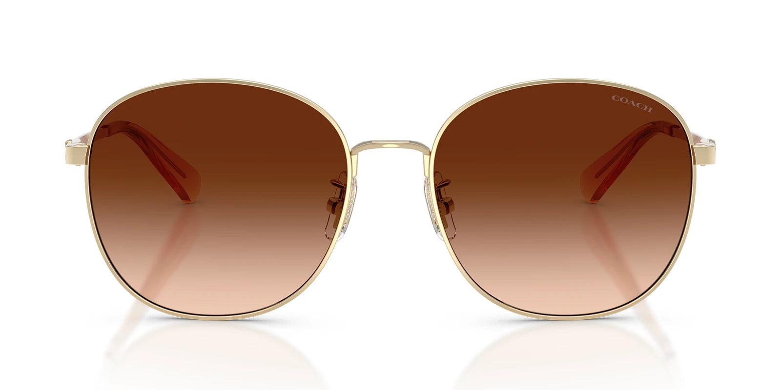 COACH HC7189-Light Gold / Gradient Brown
