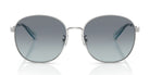 COACH HC7189-Silver / Grey gradient
