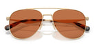 COACH HC7190-Arista Gold / Light brown