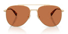 COACH HC7190-Arista Gold / Light brown