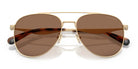 COACH HC7190-Gold With Brown Lenses