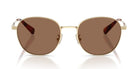 COACH HC7191-Gold With Brown Lenses