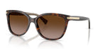 COACH HC8132-Tortoise / Brown Gradient