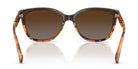 COACH HC8132-Tortoise / Brown Polarized