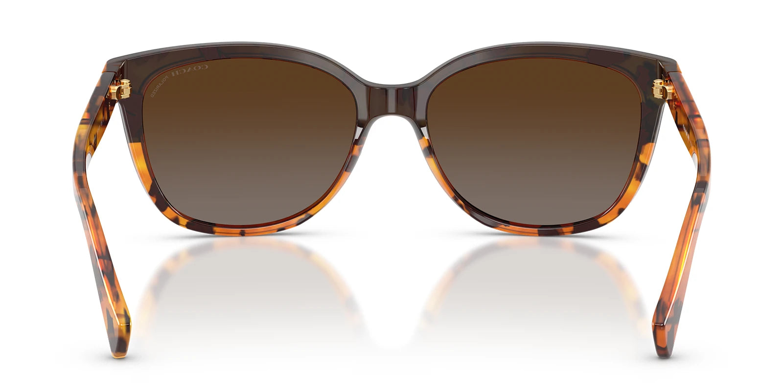 COACH HC8132-Tortoise / Brown Polarized