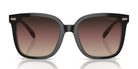 COACH HC8381-Black / Violet