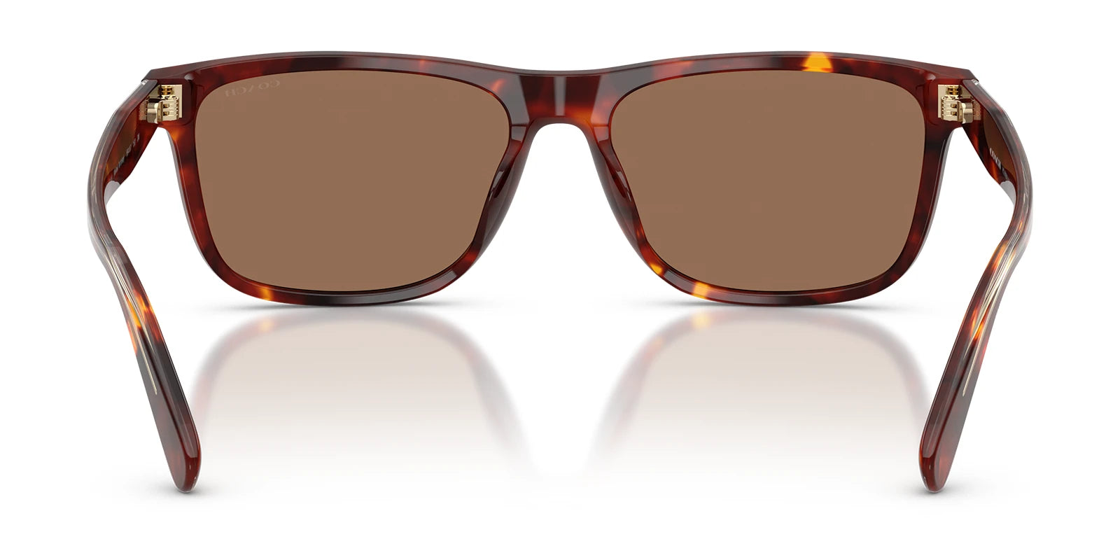 COACH HC8454-Tortoise With Brown Lenses