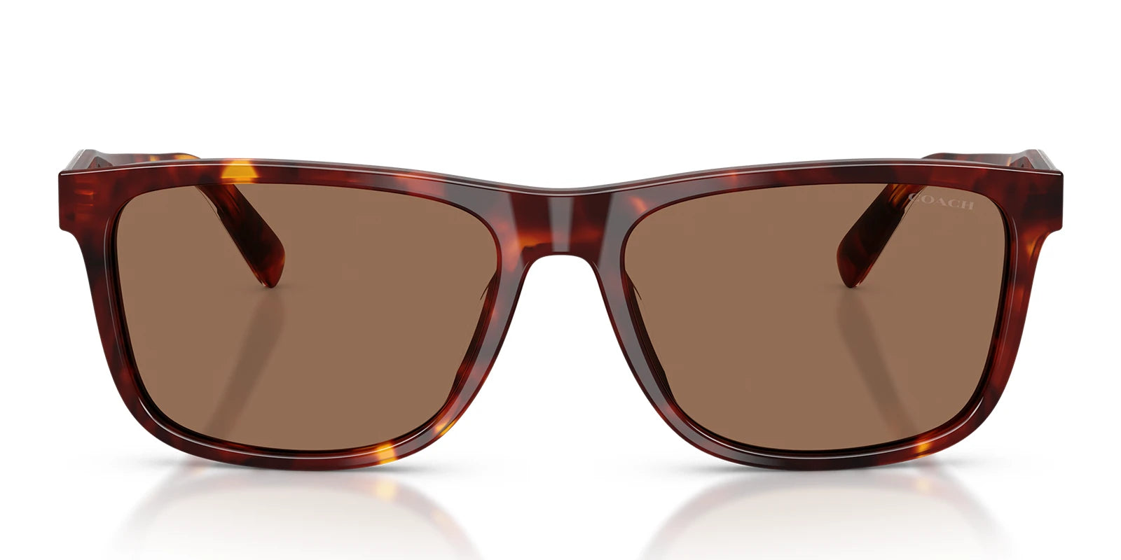 COACH HC8454-Tortoise With Brown Lenses