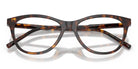 Dolce & Gabbana DG3443-Tortoise