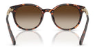 Michael Kors MK2264-Tortoise / Brown Gradient
