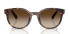 Michael Kors MK2264-Tortoise / Brown Gradient
