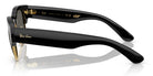 RayBan RB0316-Black With Grey Lenses