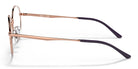RayBan RB3681-Rose Gold