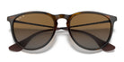 RayBan RB4171-Tortoise / Brown Polarized