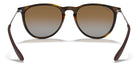 RayBan RB4171-Tortoise / Brown Polarized