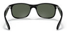 RayBan RB4202-Black / G-15 green