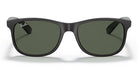 RayBan RB4202-Black / G-15 green