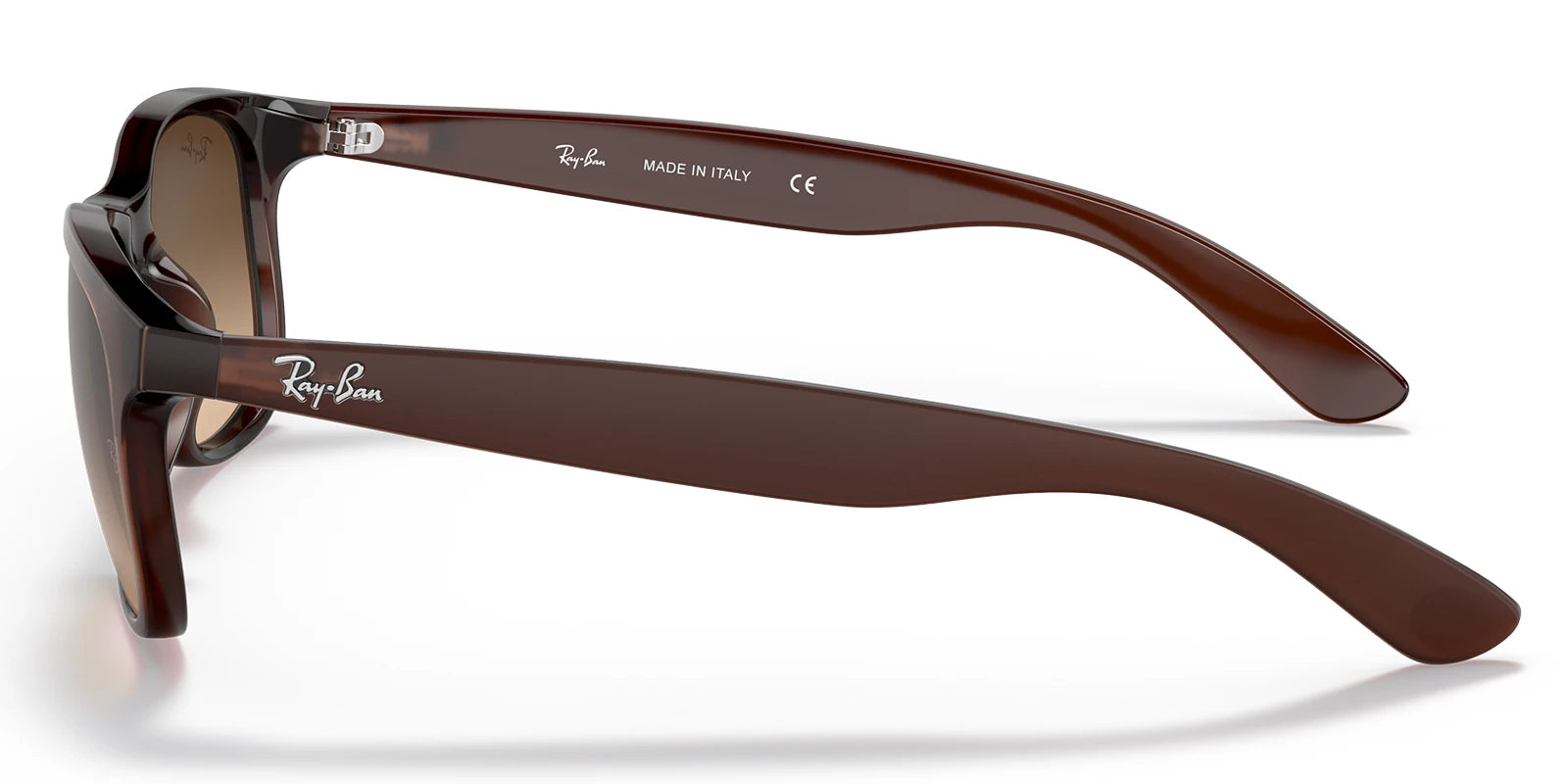 RayBan RB4202-Brown / Brown Gradient