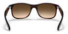 RayBan RB4202-Brown / Brown Gradient