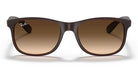 RayBan RB4202-Brown / Brown Gradient