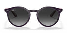 Ray Ban RB9064-Purple / Pink mirror