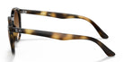 Ray Ban RB9064-Tortoise With Brown Lenses