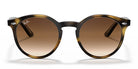 Ray Ban RB9064-Tortoise With Brown Lenses