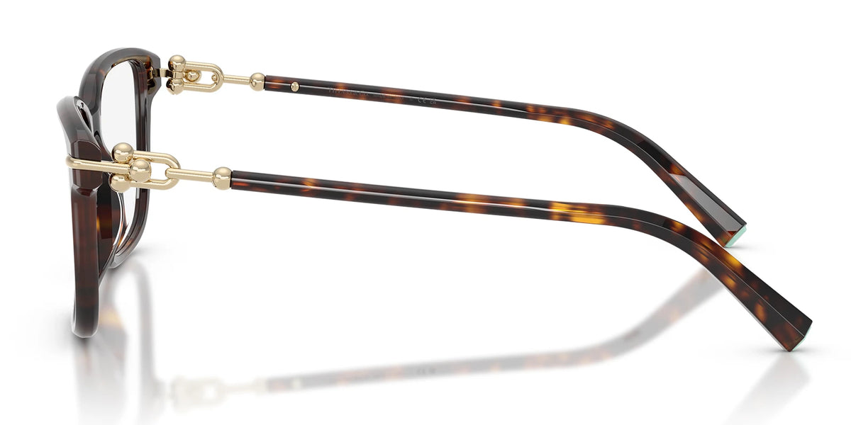 Tiffany TF2299-Tortoise
