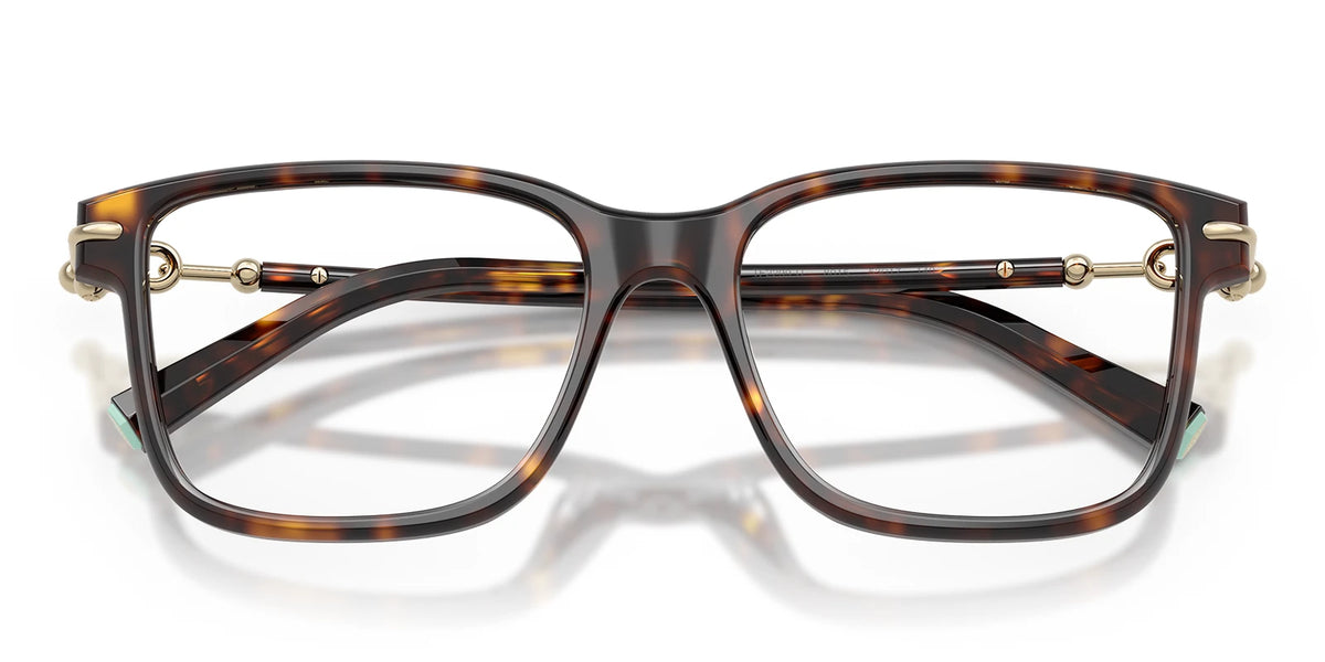 Tiffany TF2299-Tortoise