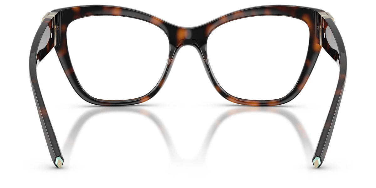 Tiffany TF2301-Tortoise