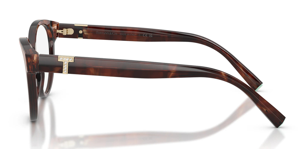 Tiffany TF2302-Tortoise
