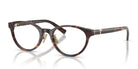 Tiffany TF2306-Tortoise