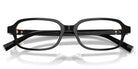 Tiffany TF2307-Shiny Black