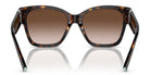 Tiffany TF4216-Tortoise / Brown Gradient