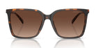 Michael Kors MK2197-Tortoise / Brown Polarized